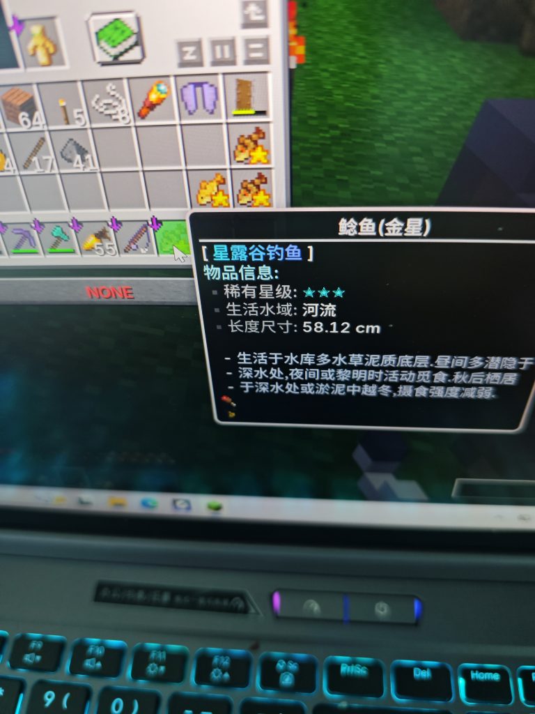 五一钓鱼活动-活动茶馆-服务器-夏日小镇官网